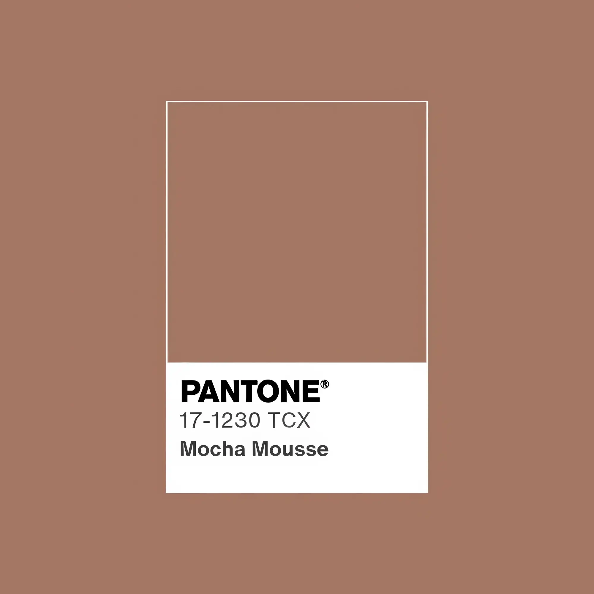 ozart-couleur-pantone-2025-mocha-mousse